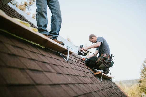 Fast & Reliable Emergency Roof Repairs in Novato, CA